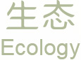 生态